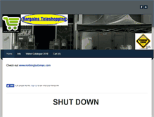 Tablet Screenshot of bargainsteleshopping.com
